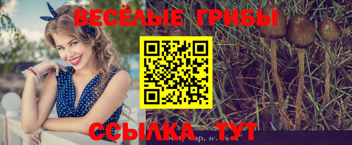 Псилоцибиновые грибы MAGIC MUSHROOMS  Вход с VPN  Курчатов 